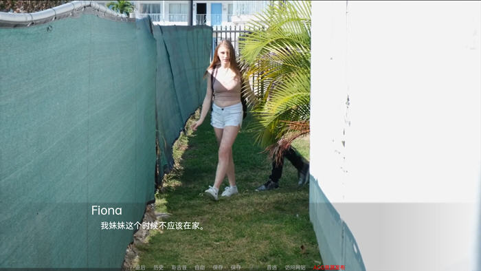 代理机构 Part1-3 ver0.7 汉化版 PC+安卓 真人SLG游戏&更新 3.3G