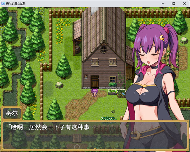 梅尔的魔女试验 官方中文版整合所有DLC PC+安卓 RPG游戏 950M