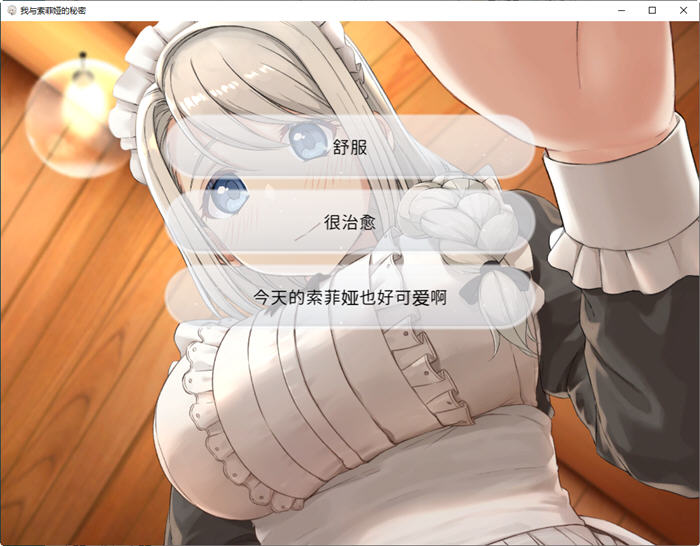 我与索菲娅的秘密 官方中文版 PC+安卓 互动SLG游戏 900M