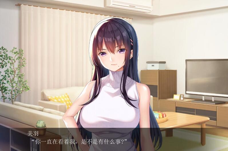 请停手吧姐姐大人！要断了！完整汉化版 PC+安卓+全CG