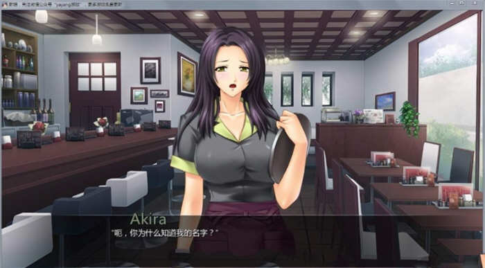 任意啪啪的商业街 汉化完结版 PC+安卓+全CG 1.3G