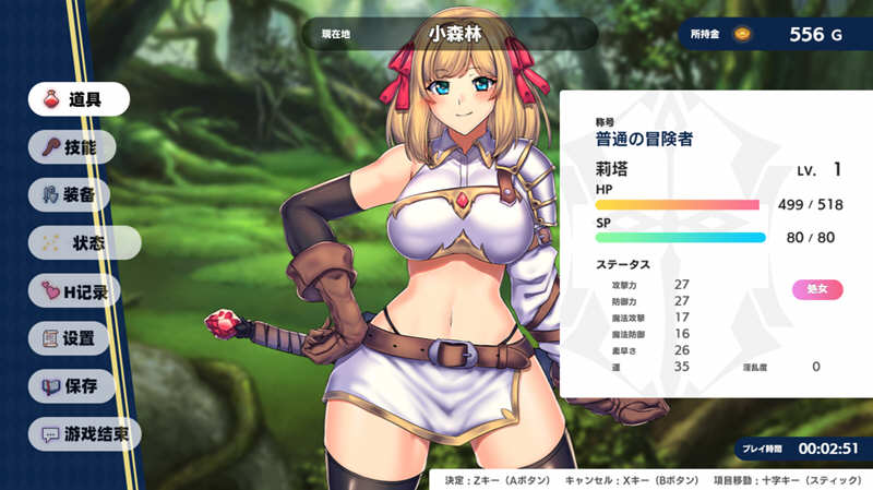 冒险者与王家之血 精翻汉化完结版+CG 爆款RPG 2G