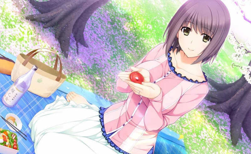 新妻LOVELY×CATION 精翻汉化版+全CG存档 大型ADV游戏