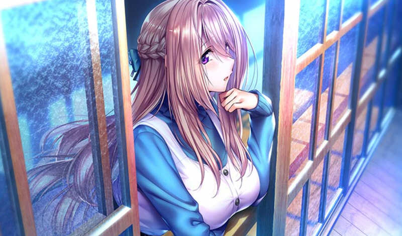 甜蜜女友2 精翻汉化版+存档 大型日式ADV游戏 8G