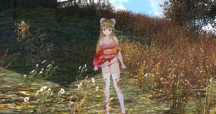 三国梦想：王元姫無惨 官方中文版 同人ARPG游戏 补 3.8G