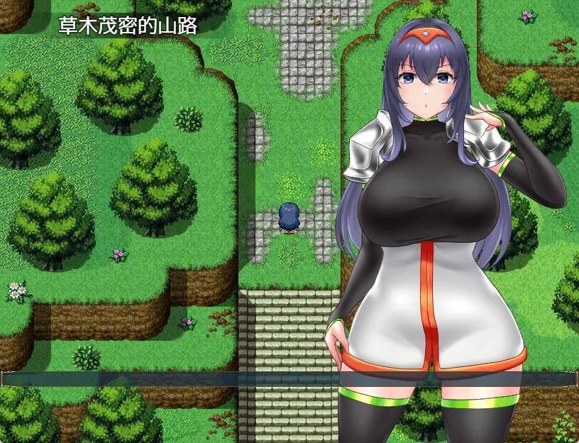 索尼亚与银欲之村2 官方中文版 探索RPG游戏+全回想 850M