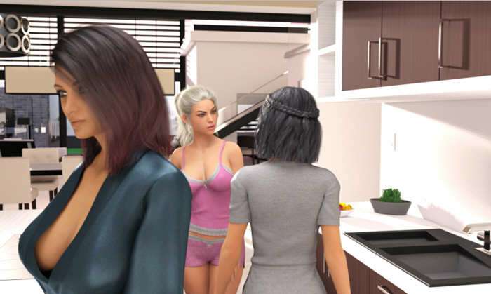 不雅的欲望 Ver014 精翻汉化作弊版 PC+安卓+全CG 4G