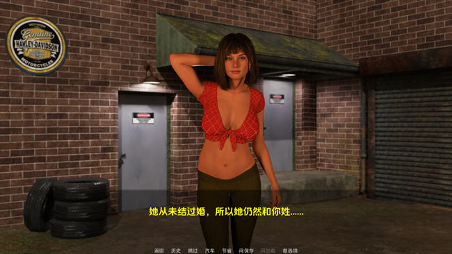 一骑黑马(A Dark Horse Riding) ver1.5 汉化版 PC+安卓 SLG游戏 1.7G