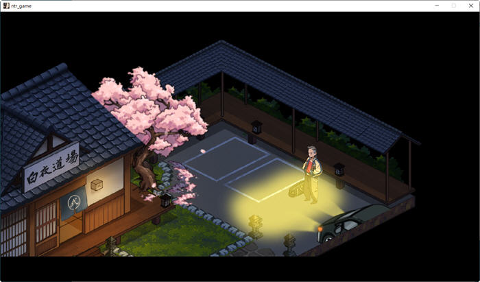 护身术道场 ver1.9.5 STEAM官方中文版+DLC RPG游戏 1G