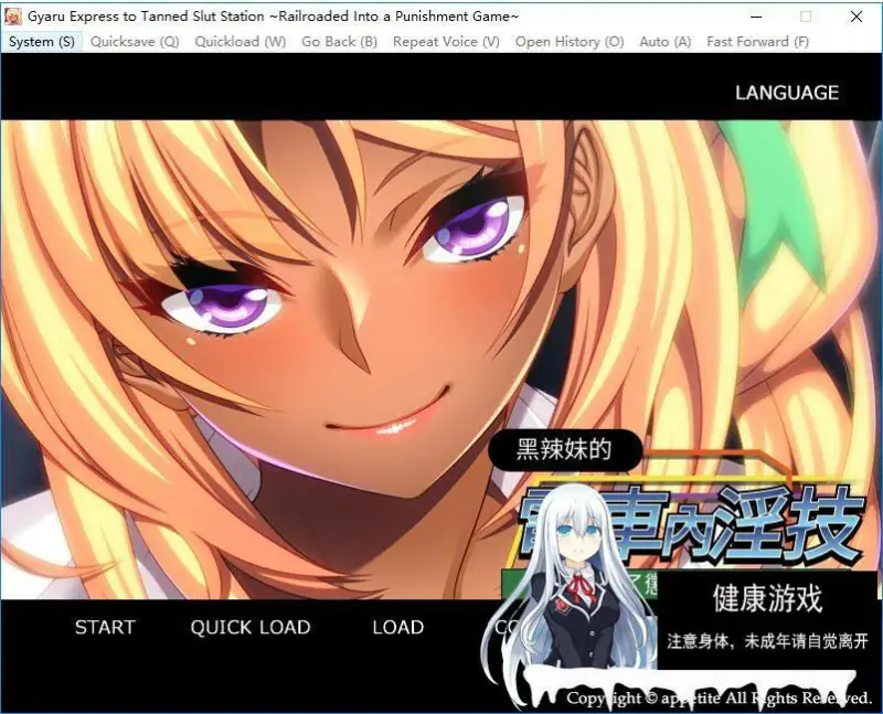 [拔作ADV中文]黑辣妹的电车内银技～惩罚游戏目标的我 PC[450M]