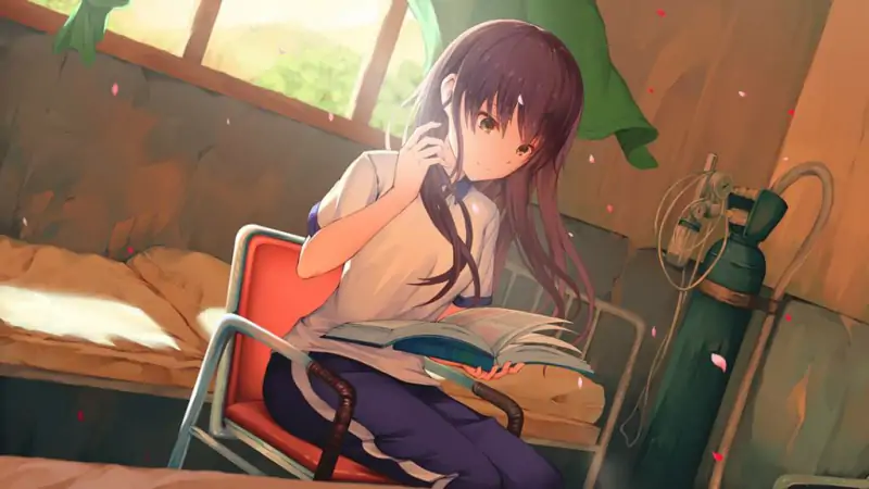 【PC+安卓中文】候鸟