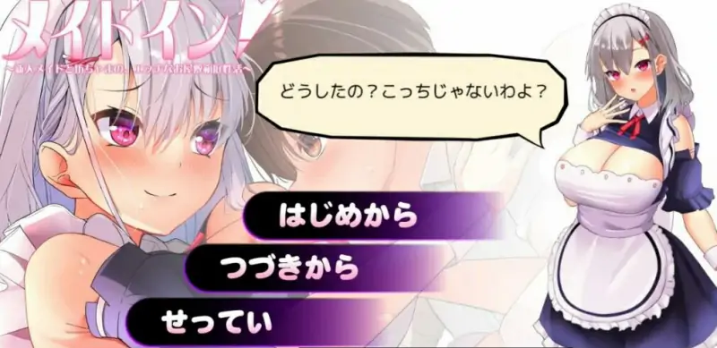 [电脑] 【PC/2D/SLG/汉化】新人女仆和少爷的涩涩宅邸生活 云翻汉化版【500M】