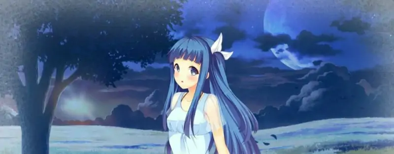 [双端] 【SD/2D/GAL/汉化】与君共睹的梦境 双端精翻汉化版+攻略【3.5G】