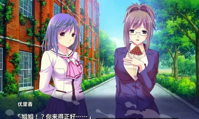 [双端] 【SD/2D/ADV/汉化】乌贼屋银二～姐妹歼计笼络地狱 双端AI汉化版【500M】