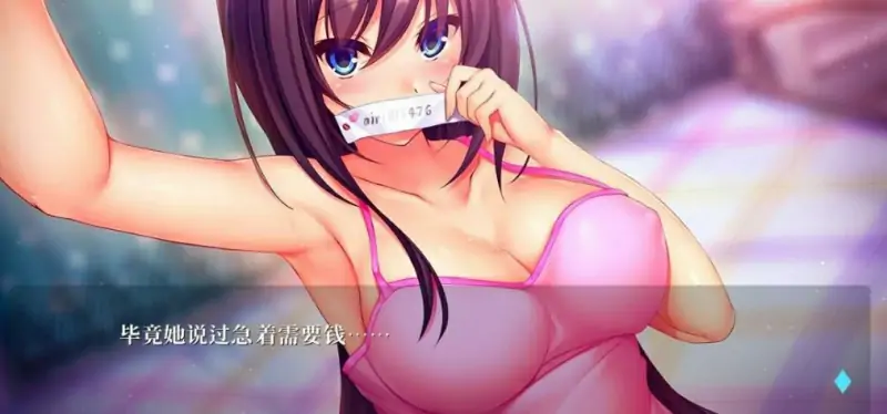 [电脑] 【PC/2D/ADV/汉化】援助交际～亚梨纱的情事 V1.0 AI汉化版【750M】