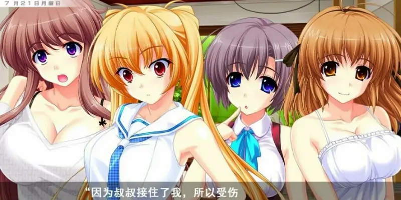 [电脑] 【PC/2D/ADV/汉化】侄女心动茶 AI汉化版【4.9G】