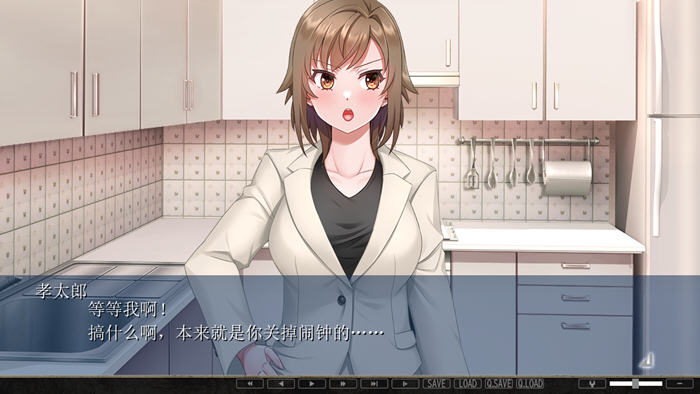 名流高档公寓 AI汉化版 ADV游戏+全CG存档 1.5G