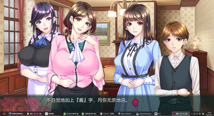 蠢妇:微弱的滴落声 AI汉化版 ADV游戏+全CG 2.4G