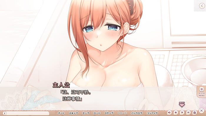 就想带歪哥哥 v1.0 AI汉化版 ADV游戏+全CG 2.9G