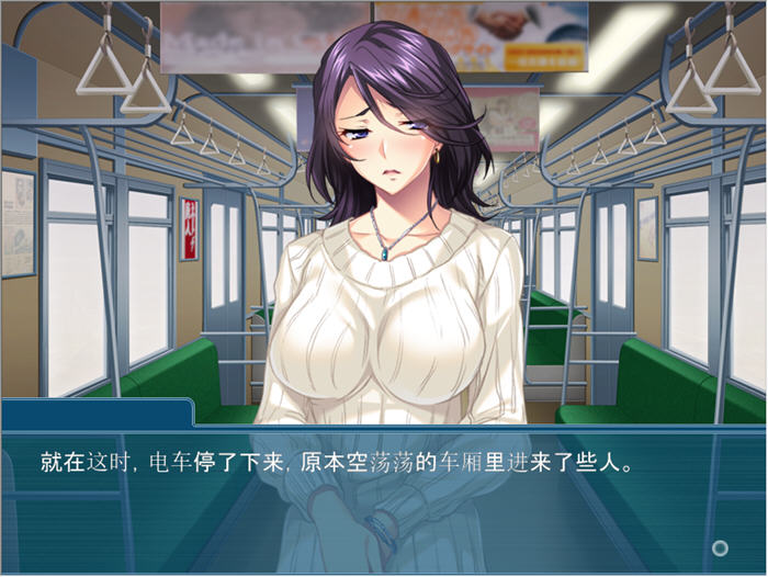 夺回属于我的一切 v1.0 AI汉化版 ADV游戏+全CG存档 500M