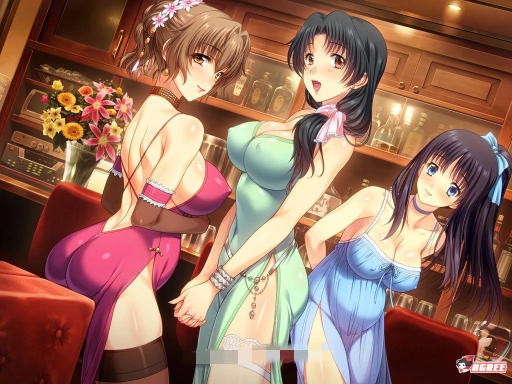 妻中蜜(1+2+3) 合集 完整中文汉化版 全CG档+攻略+全动画 ADV游戏 6.1G