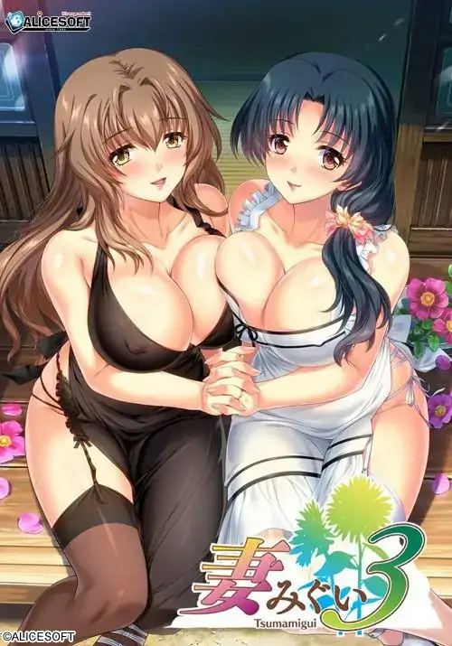 新汉化[神级大作/人妻] [Alicesoft] 妻中蜜３ 妻みぐい３ v0.801 润色汉化版+攻略+全CG存档 [2.30G]