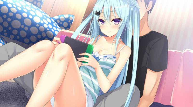 如胶似漆双胞胎！关于很黏我的双胞胎妹妹们居然喜欢上了我这件事【PC/汉化】