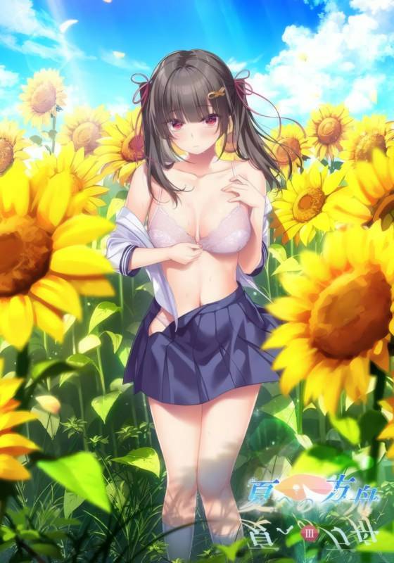 [ADV/动态/PC]夏之方舟3 夏への方舟3 汉化+特典