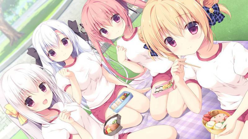 AVD/官中/PC/全系列/尚有佳蜜伴恋心【前作+续作】