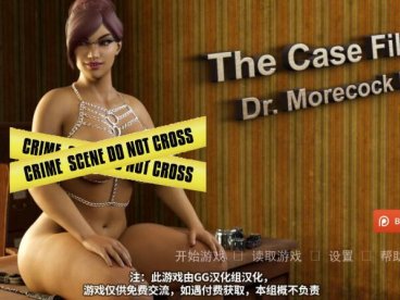 案件：家庭心理咨询师 V1.0 精翻汉化版 PC+安卓 动态CG