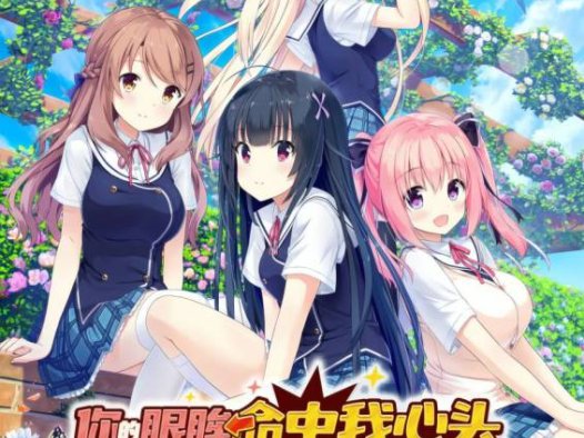 【PC/戏画社/ADV】你的眼眸命中我心头/キミの瞳にヒットミー<官中>