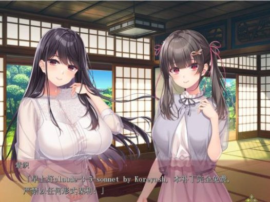 [PC/姐妹/后宫/汉化/ADV/全cg]夏への方舟2