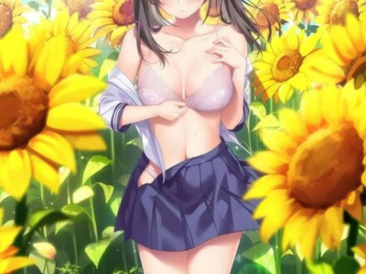 [ADV/动态/PC]夏之方舟3 夏への方舟3 汉化+特典